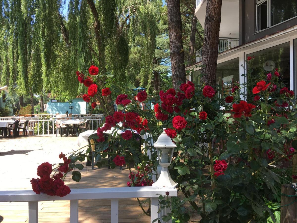 מלון Ağva Shila Doert Mevsim Tatil Koyu מראה חיצוני תמונה