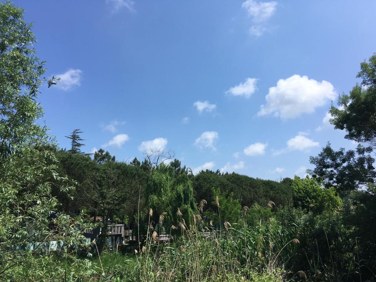 מלון Ağva Shila Doert Mevsim Tatil Koyu מראה חיצוני תמונה