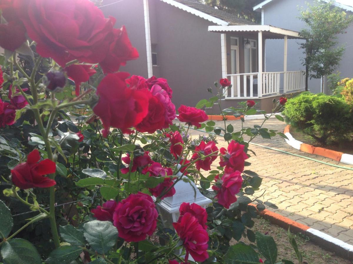 מלון Ağva Shila Doert Mevsim Tatil Koyu מראה חיצוני תמונה